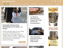 Tablet Screenshot of amazingdogtales.com